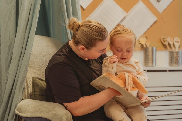 Willow Nurseries West Derby, Liverpool, Merseyside