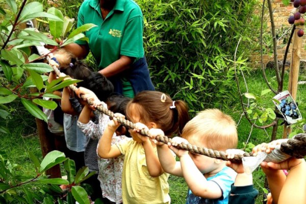 Buttercups at Ealing W5 3TU