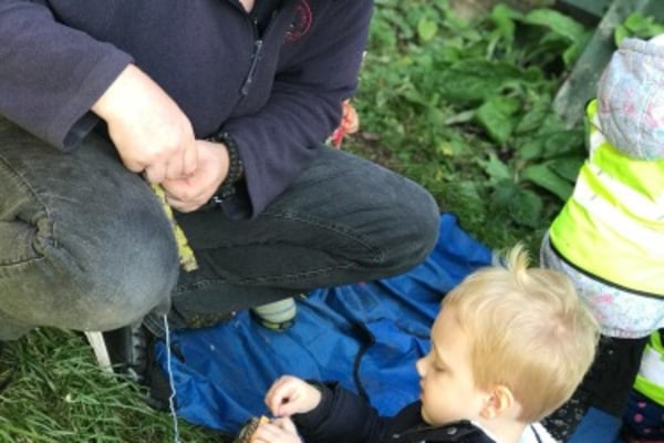 The Nest Nursery Copper Beech B32 2HN