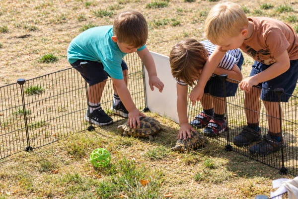 The Old Station Nursery Forest School Devizes , Devizes