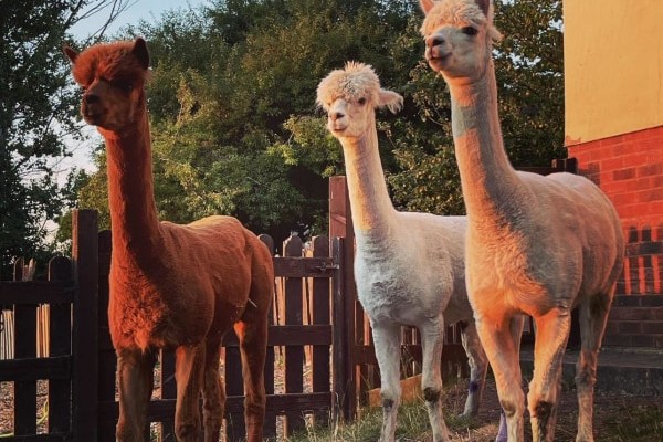 Tiny Tots Day Nursery and Out of School Club, Prestatyn, Denbighshire