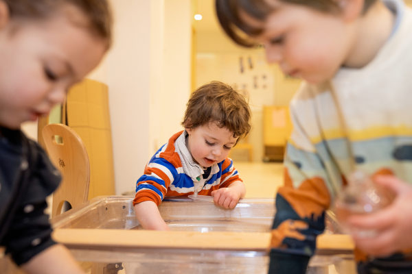 Sancton Wood Nursery, Cambridge, Cambridgeshire