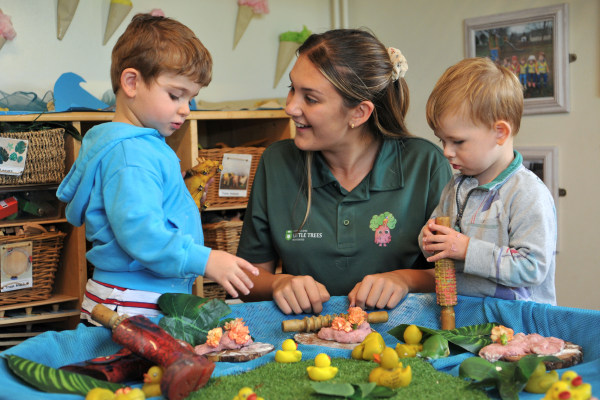 Little Trees Brownshill (Formerly Polly's Day Nursery) GL6 8AS