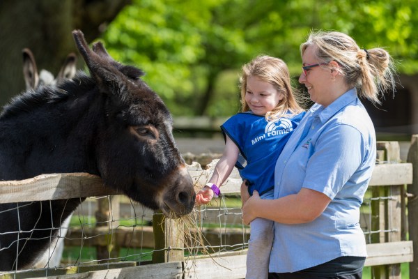Thrift Farm Day Nursery & Pre-School, Thrift Farm