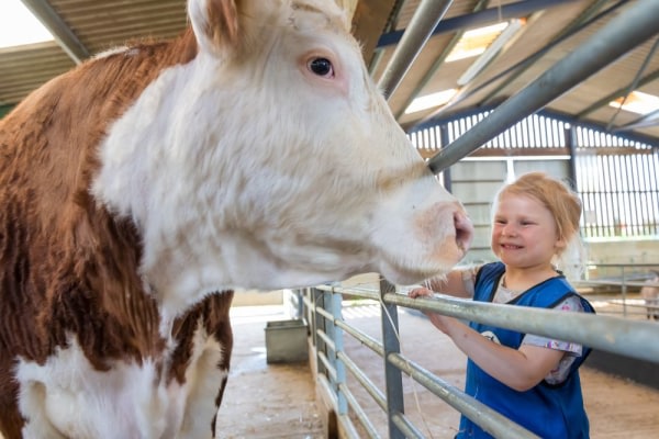 Thrift Farm Day Nursery & Pre-School MK17 0EQ