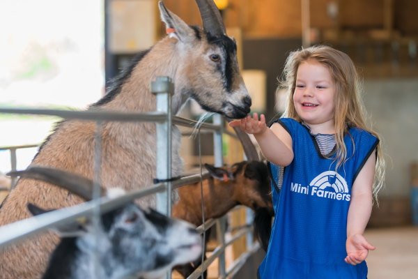 Willows Farm Day Nursery AL4 0PF