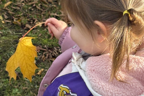 Twizzle Tops Day Nursery The Willows, Stevenage, Hertfordshire