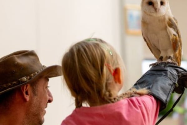 St Benedict's School Nursery W5 2XP