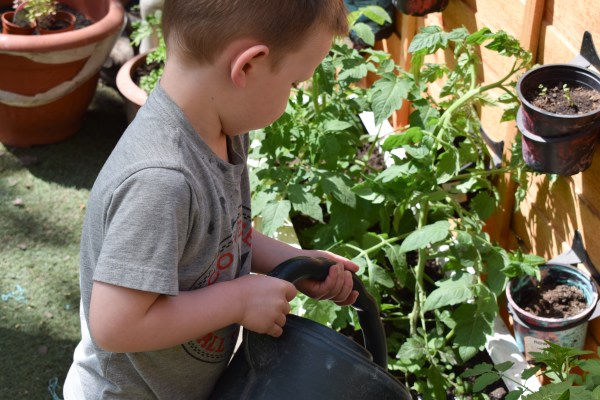 Alexandra Park Creative Nursery School, Demesne Road