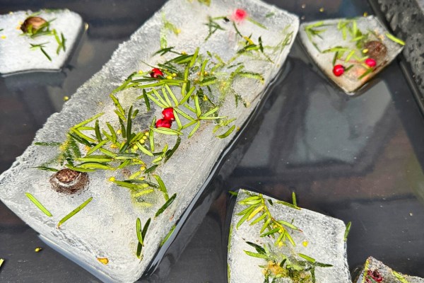 Jubilee Gems, Ark House