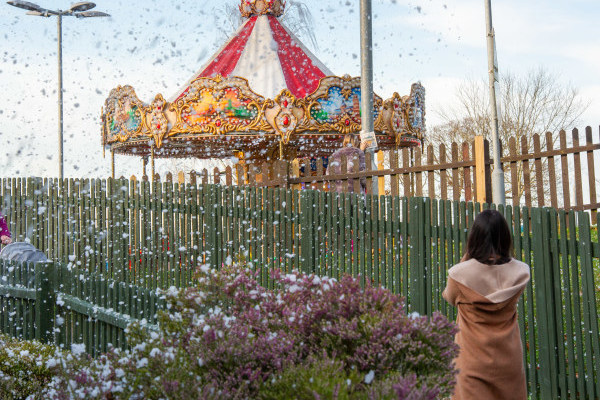 Wivenhoe Park Day Nursery, University of Essex