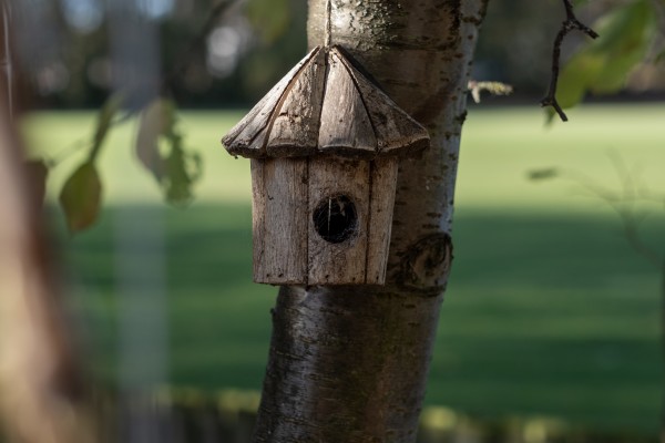 Musselburgh Nature Kindergarten EH21 6HY