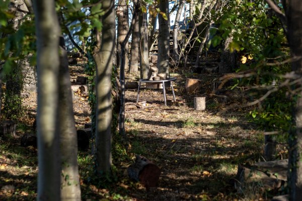 Musselburgh Nature Kindergarten, Musselburgh, East Lothian