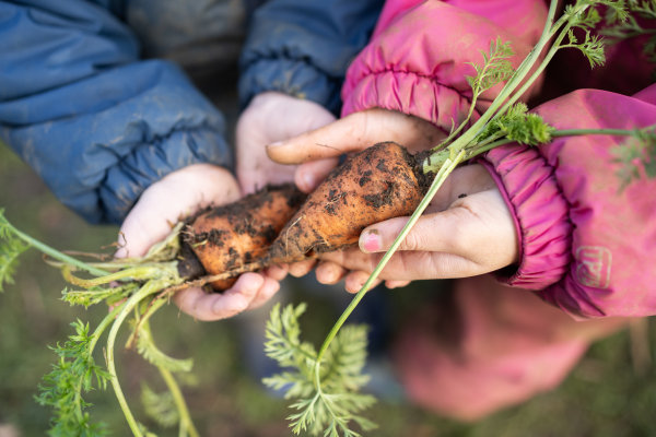 Sibford School Early Years OX15 5QL