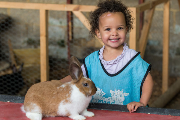 Mead Open Farm Day Nursery LU7 9JH