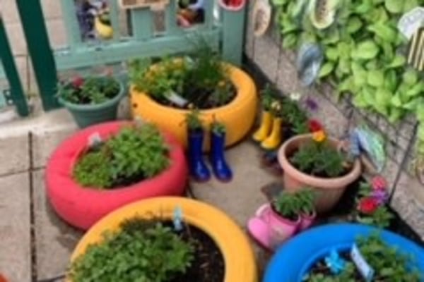 Sunshine & Showers TN29 0LE