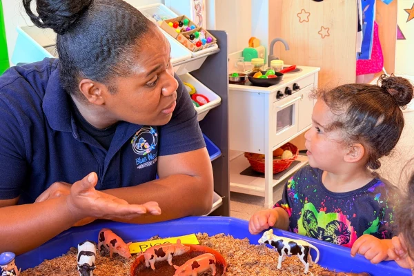 Blue Nest Montessori School, Harrow, Harrow