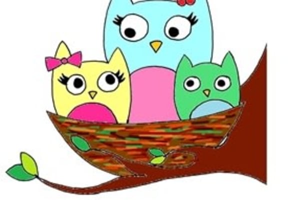 Owls Nest Nursery, 164 Broadway East