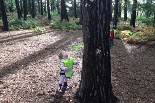 Mighty Oaks Day Nursery & Preschool, Christchurch, Dorset