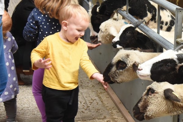 Odds Farm Park Day Nursery & Pre-School, Wooburn Common