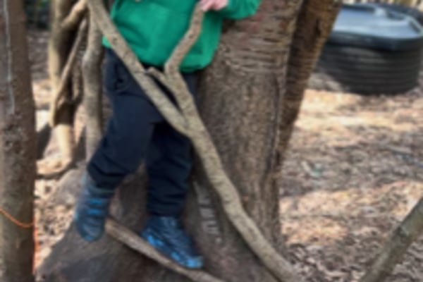 Woodlands Pre-school (Warners End) Ltd, Hemel Hempstead, Hertfordshire