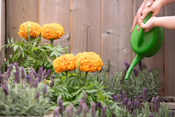 Islington Square Day Nursery N1 1UL