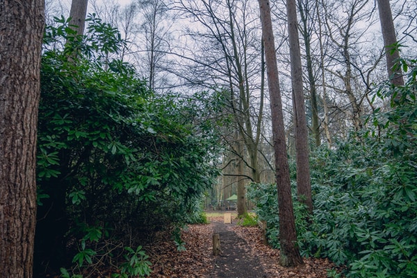 Outdoor Owls Richmond, Richmond, London