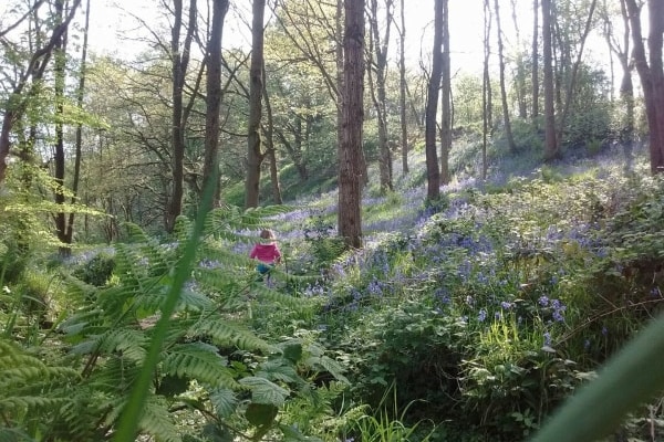 Great and Small Forest School, Cottams Farm