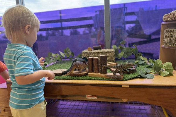 Spring Nursery Wellsprings, Taunton, Somerset