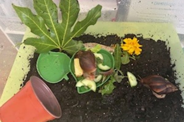 Banana Moon Day Nursery Littleover DE23 3AT