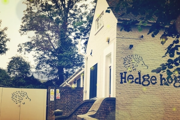 Hedgehogs Day Nursery Rochester, The Annex