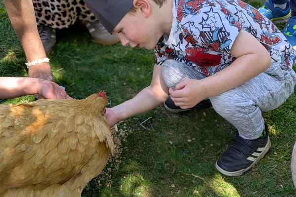 Frensham Fireflies Nursery, Farnham, Surrey