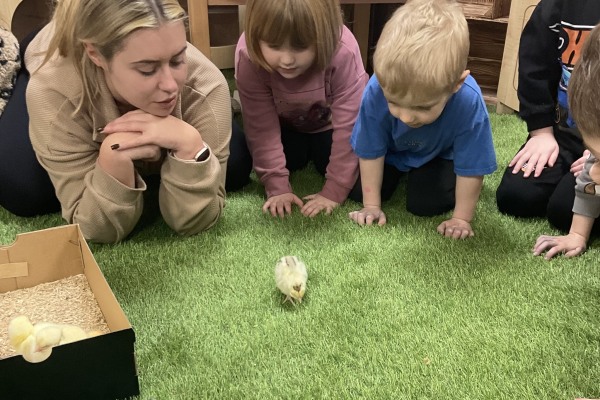 Little Adventures Nursery Cheddar, Cheddar, Somerset