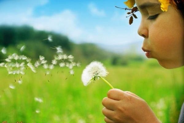 Chapel Hill Day Nursery, Newport