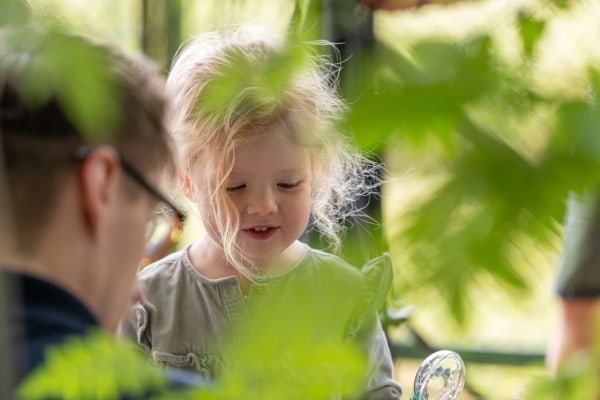 Cherubs Mapperley, 400 Westdale Lane