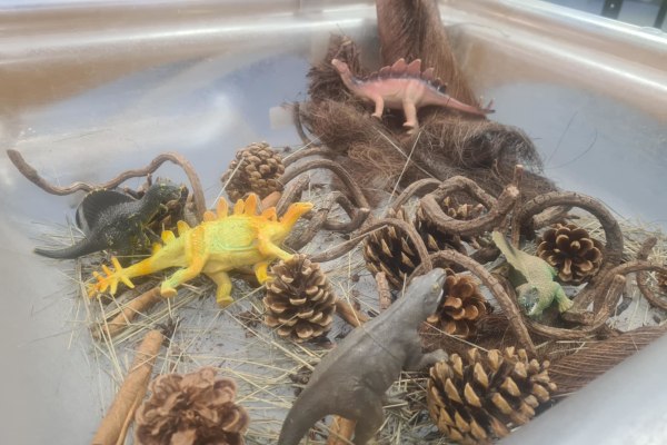 The Learning Tree Derby CIC, 345 Sinfin Lane