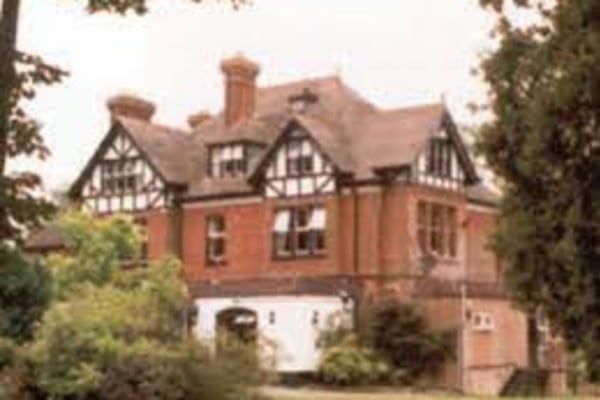 Aster Daisy Nursery, Rakelands