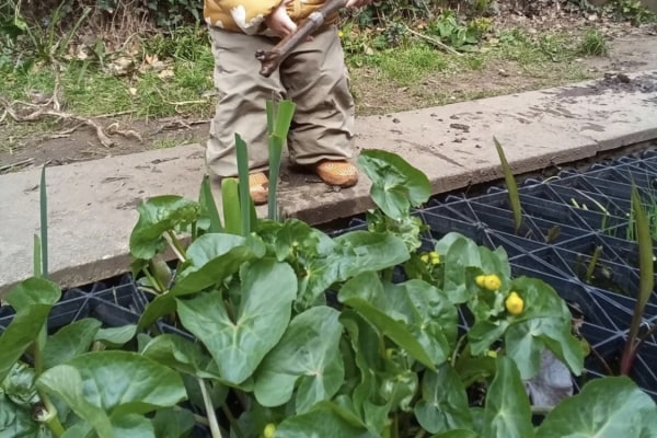 Magnolia Tree Day Nursery, Hove, East Sussex