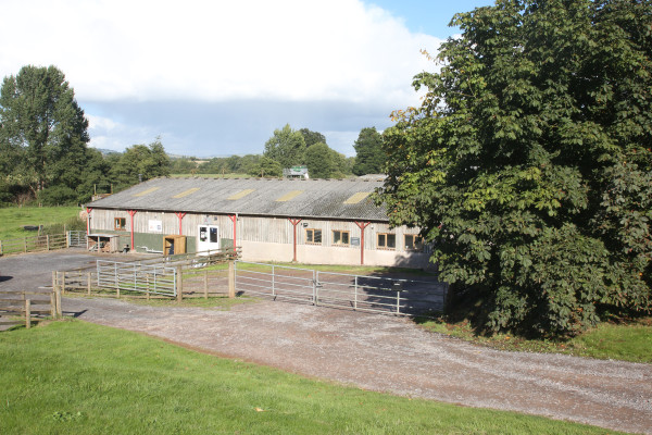 Muddy Boots at the Farm, The Piggery