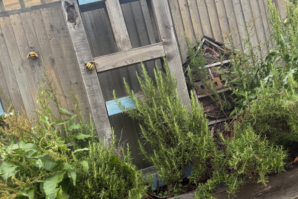 Leaps Nursery, Redhill