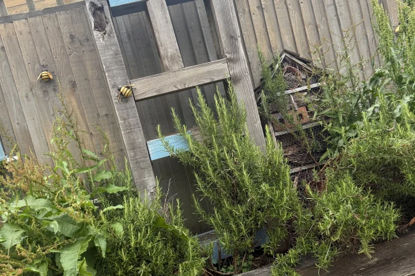 Leaps Nursery, Redhill