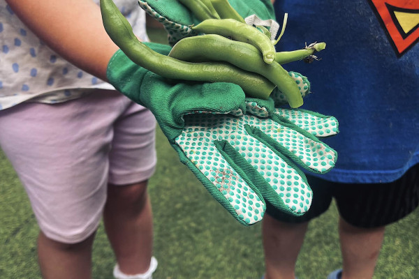 Dinky Groves Day Nursery, York, North Yorkshire