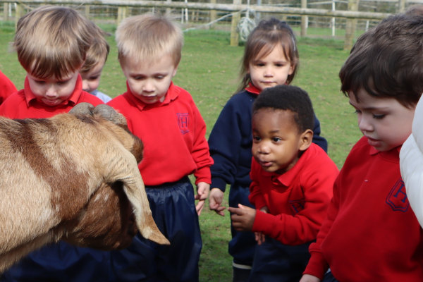 The Hawthorns Nursery, Redhill, Surrey