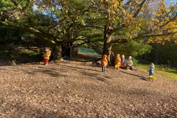 Treehoppers Forest Kindergarten, Haywards Heath, Borde Hill Gardens