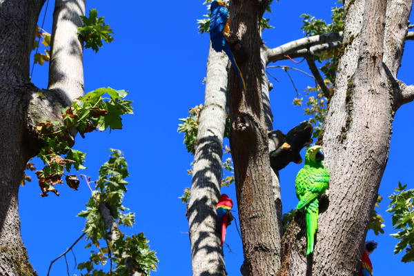 Innsworth Preschool GL3 1HJ