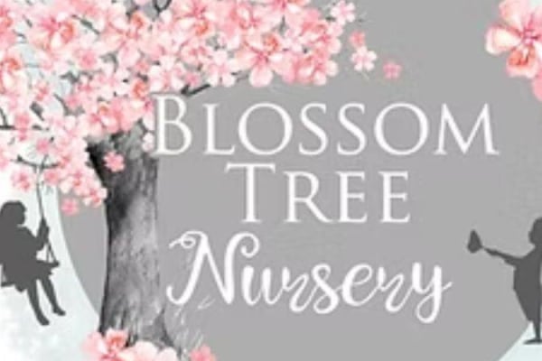Blossom Tree Day Nursery Adwick, All Saints Community Centre