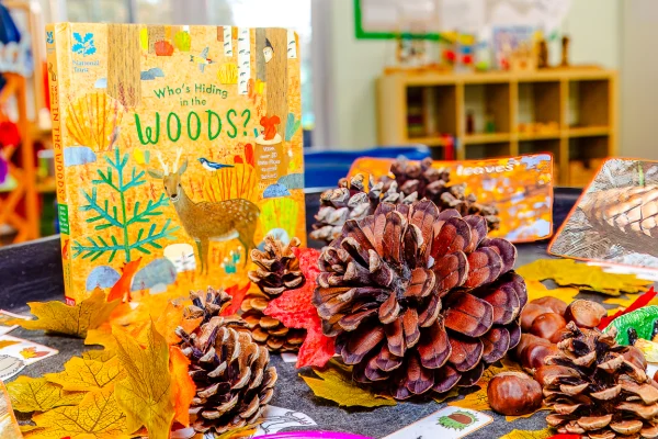 Squirrels Pre-School Delamere Park, Northwich