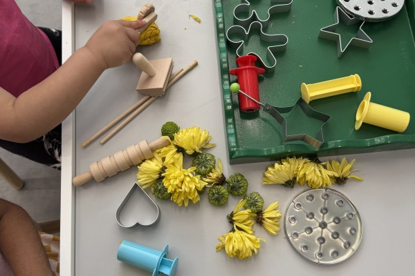 Mother Bear Nursery & Pre-school, London