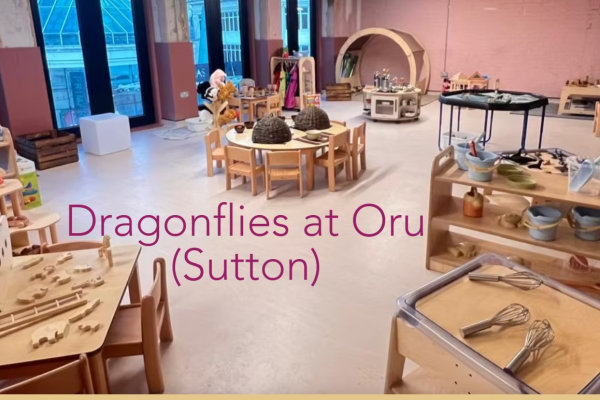 Dragonflies at Oru, Oru Space 