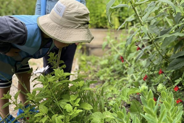Milford Early Years Centre, Lymington, Hampshire